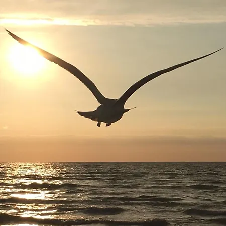 Moewennest App 1 Διαμέρισμα *