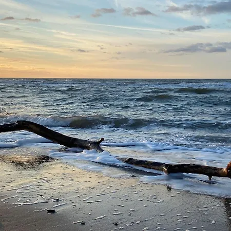 Διαμέρισμα Moewennest App 1 Dierhagen